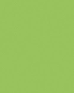 Etalagekarton Folia 1-zijdig 48x68cm 380gr nr941 fluor groen